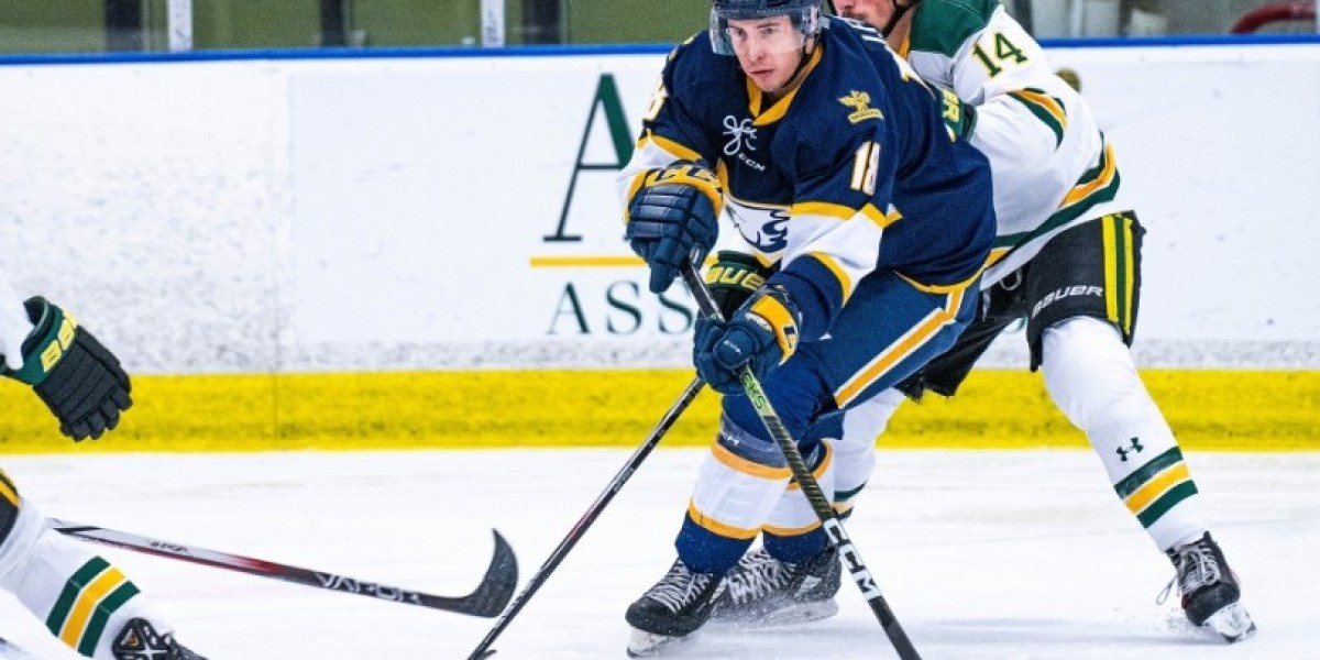 UBC Thunderbirds Dominate Regina Cougars with 8-1 Road Victory Led by Huo's Five-Point Performance